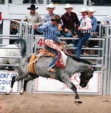 Blue Allen competing in rodeo on old photo
