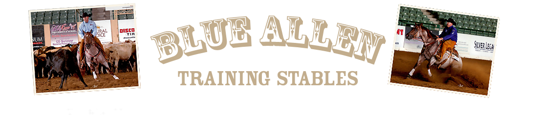 Blue Allen Training Stables logo and link to home page
